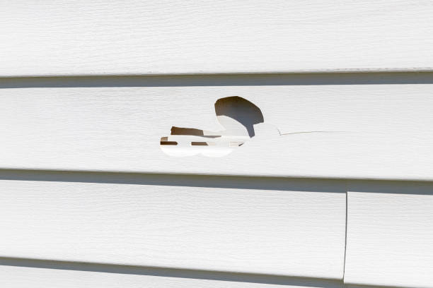 Best Siding Painting and Refinishing  in Han, GA